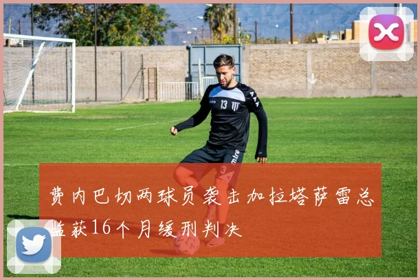 费内巴切两球员袭击加拉塔萨雷总监获16个月缓刑判决