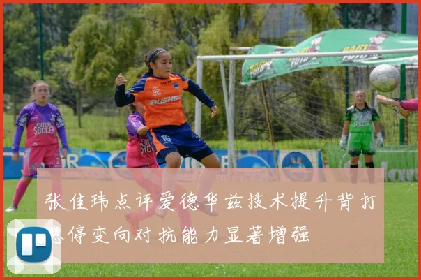 张佳玮点评爱德华兹技术提升背打急停变向对抗能力显著增强