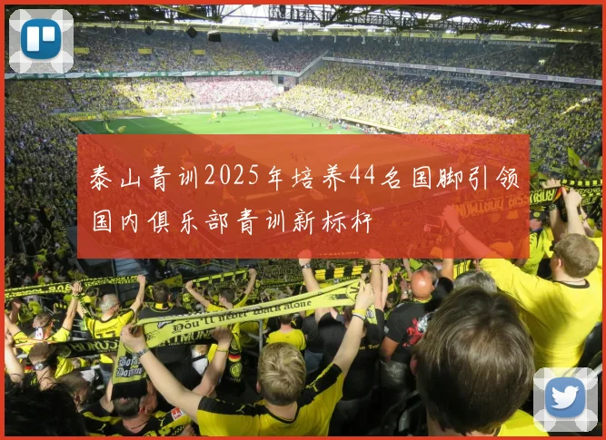 泰山青训2025年培养44名国脚引领国内俱乐部青训新标杆