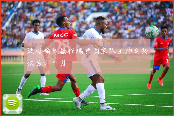 波特确认接任瑞典国家队主帅合约仅为六个月